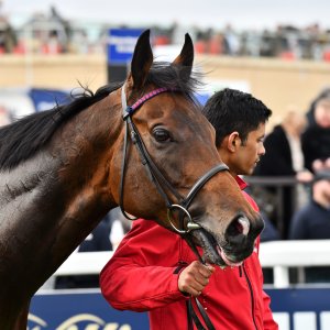 Doncaster | The William Hill Lincoln | 29/03/25