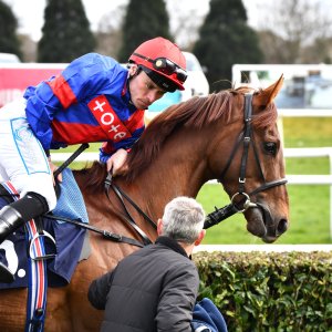 Doncaster | The William Hill Lincoln | 29/03/25