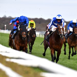 Doncaster | The William Hill Lincoln | 29/03/25