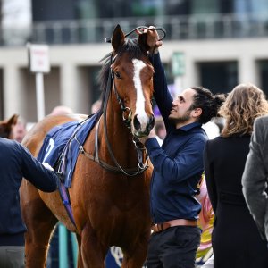 Doncaster | The William Hill Lincoln | 29/03/25