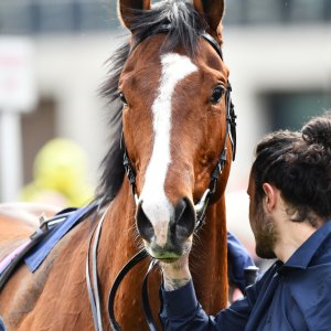 Doncaster | The William Hill Lincoln | 29/03/25