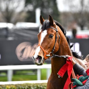 Doncaster | The William Hill Lincoln | 29/03/25