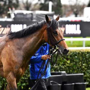 Doncaster | The William Hill Lincoln | 29/03/25