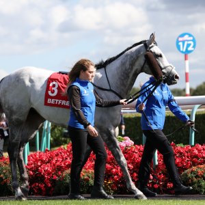 Doncaster | St Leger | 12,13/9/25