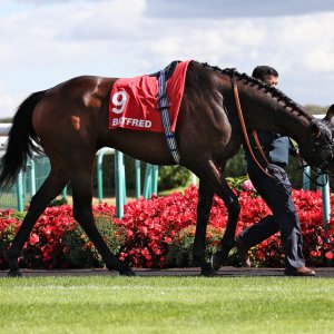 Doncaster | St Leger | 12,13/9/25