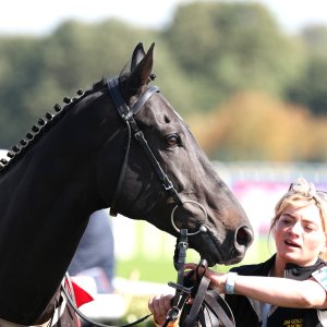 Doncaster | St Leger | 12,13/9/25