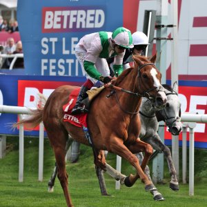 Doncaster | St Leger | 12,13/9/25