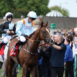 Doncaster | St Leger | 12,13/9/25