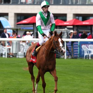 Doncaster | St Leger | 12,13/9/25