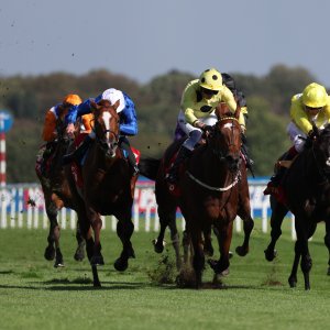 Doncaster | St Leger | 12,13/9/25