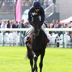 Doncaster | St Leger | 12,13/9/25