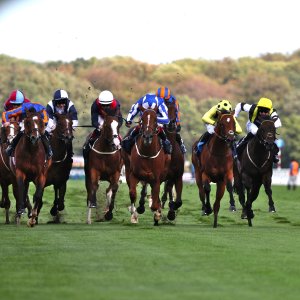 Doncaster | St Leger | 12,13/9/25