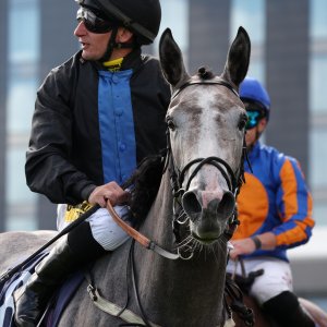 Doncaster | St Leger | 12,13/9/25