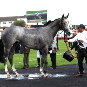 Doncaster | St Leger | 12,13/9/25