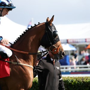 Doncaster | St Leger | 12,13/9/25