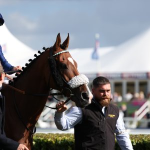 Doncaster | St Leger | 12,13/9/25