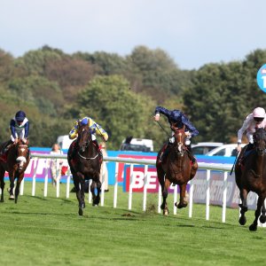 Doncaster | St Leger | 12,13/9/25