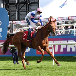 Doncaster | St Leger | 12,13/9/25