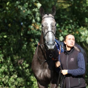 Doncaster | St Leger | 12,13/9/25