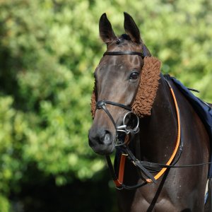 Doncaster | St Leger | 12,13/9/25