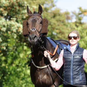 Doncaster | St Leger | 12,13/9/25