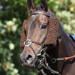 Doncaster | St Leger | 12,13/9/25