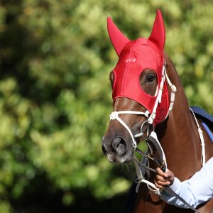 Doncaster | St Leger | 12,13/9/25