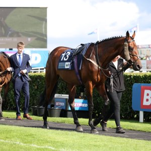 Doncaster | St Leger | 12,13/9/25