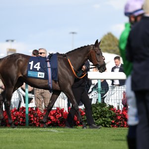 Doncaster | St Leger | 12,13/9/25