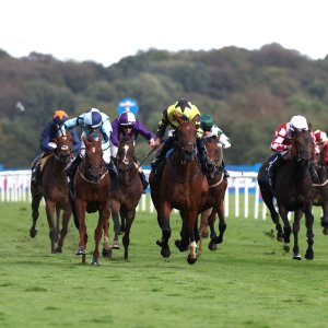 Doncaster | St Leger | 12,13/9/25