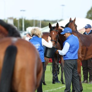 Doncaster | St Leger | 12,13/9/25