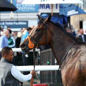 Doncaster | St Leger | 12,13/9/25