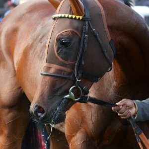 Doncaster | St Leger | 12,13/9/25