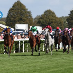 Doncaster | St Leger | 12,13/9/25