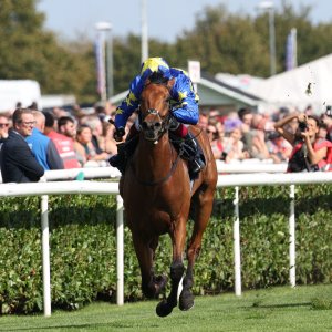 Doncaster | St Leger | 12,13/9/25