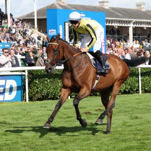 Doncaster | St Leger | 12,13/9/25