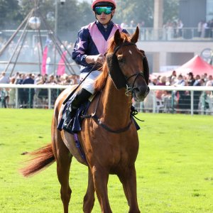 Doncaster | St Leger | 12,13/9/25