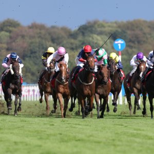 Doncaster | St Leger | 12,13/9/25