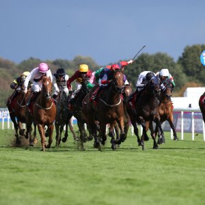Doncaster | St Leger | 12,13/9/25