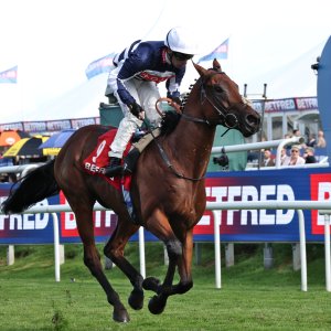Doncaster | St Leger | 12,13/9/25