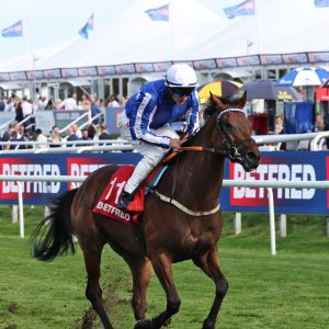 Doncaster | St Leger | 12,13/9/25