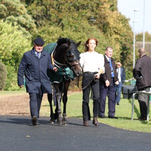 Doncaster | St Leger | 12,13/9/25