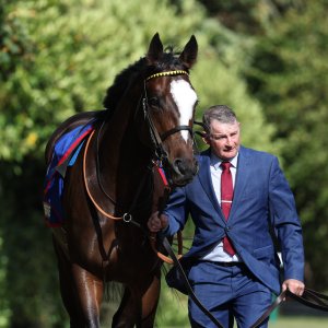 Doncaster | St Leger | 12,13/9/25