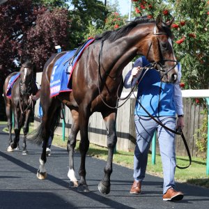 Doncaster | St Leger | 12,13/9/25