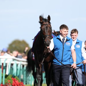 Doncaster | St Leger | 12,13/9/25