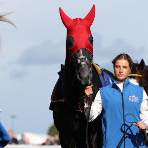 Doncaster | St Leger | 12,13/9/25