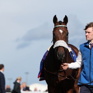 Doncaster | St Leger | 12,13/9/25