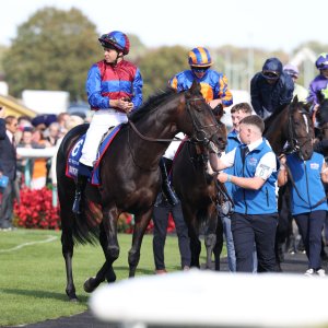 Doncaster | St Leger | 12,13/9/25