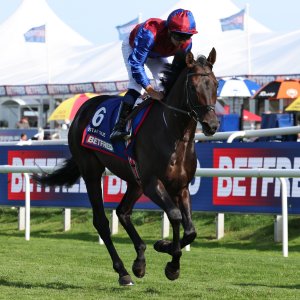 Doncaster | St Leger | 12,13/9/25