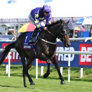 Doncaster | St Leger | 12,13/9/25